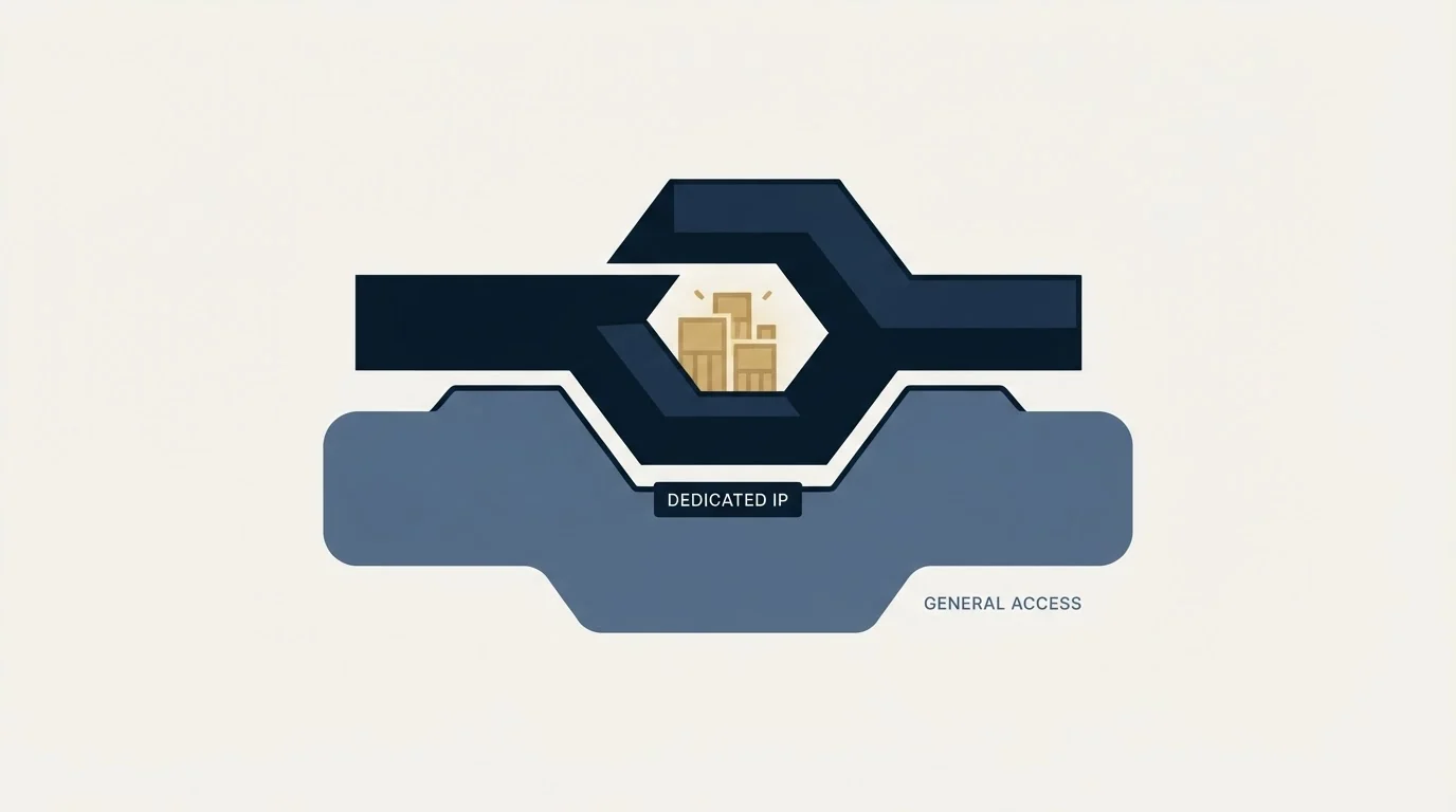 Section illustration: What the dedicated IP is worth
