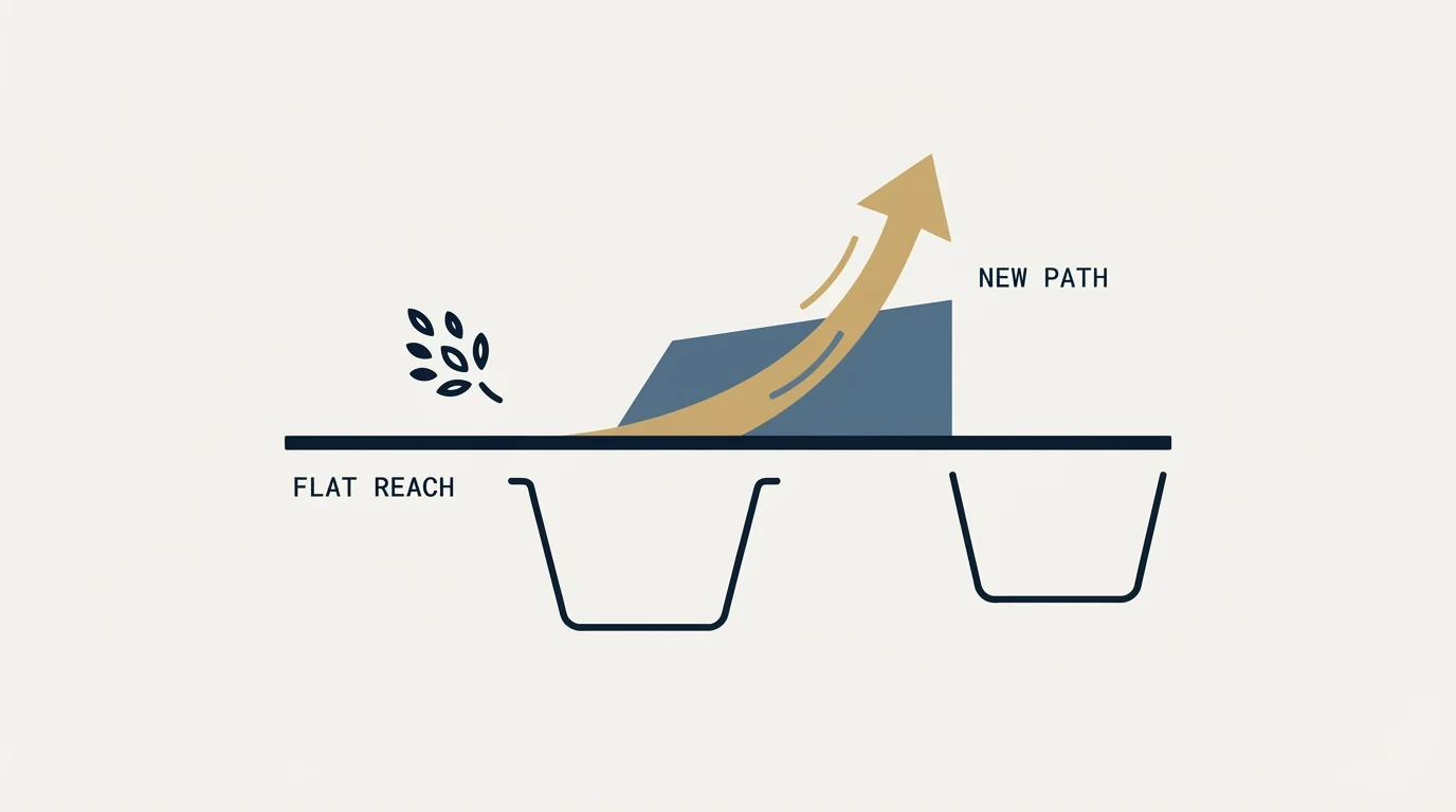 Section illustration: If you are searching for this because reach is flat