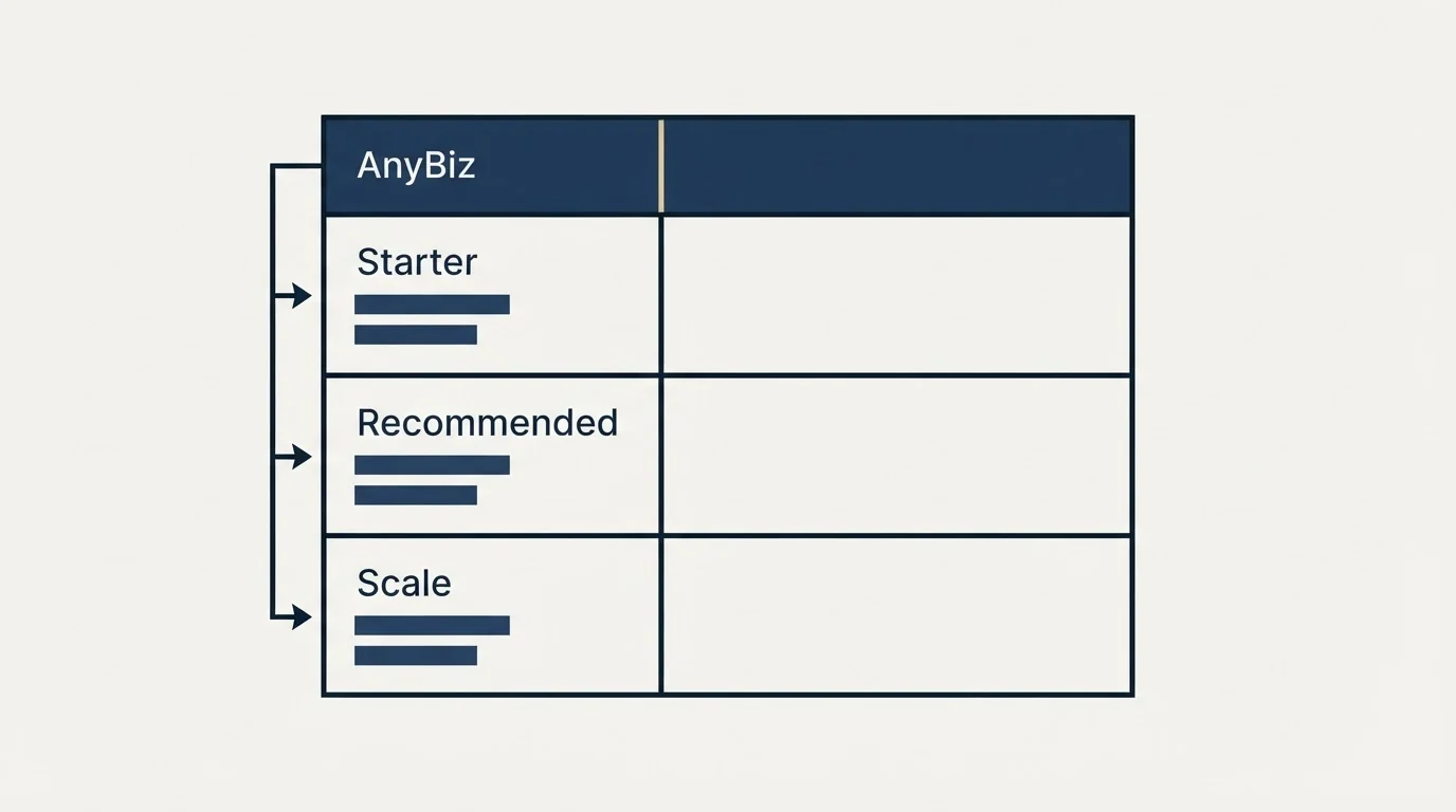 Pricing table: Pricing Comparison (AnyBiz, Starter, Recommended, Scale)