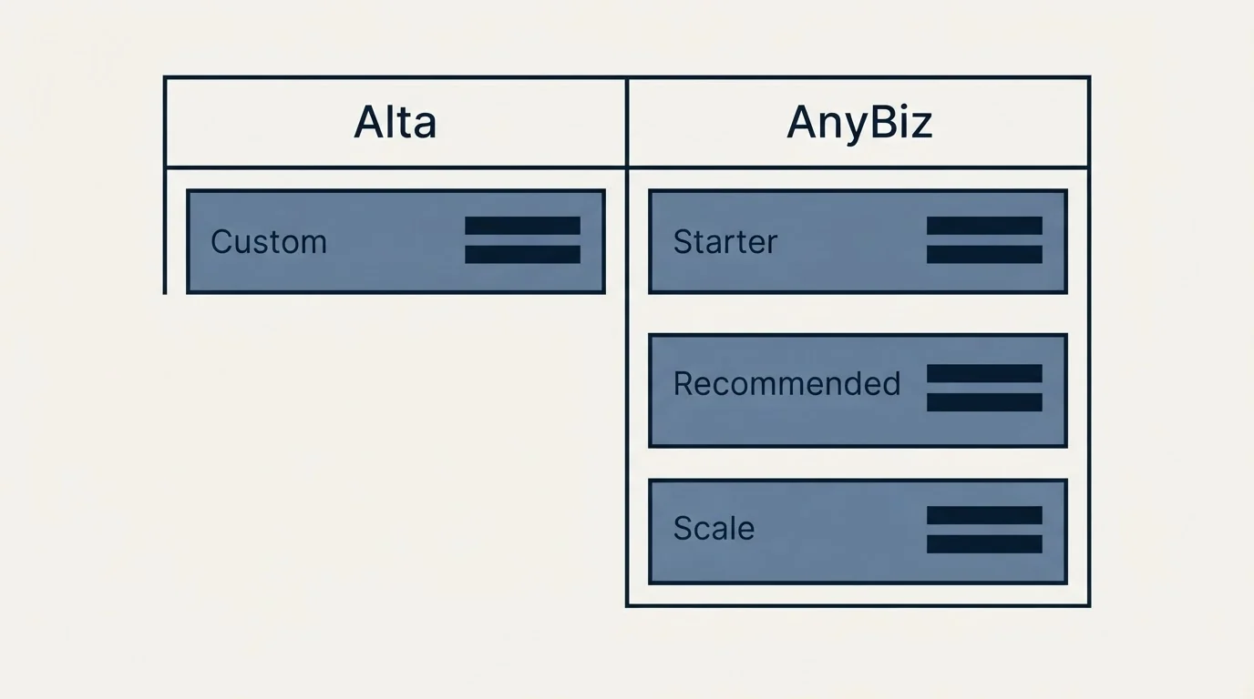 Pricing table: Pricing Comparison (Alta, AnyBiz, Custom, Starter)