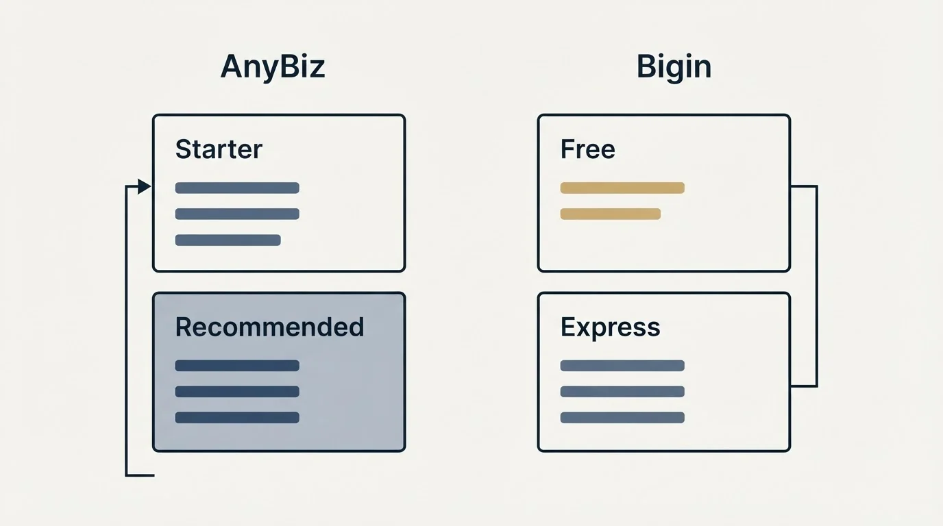 Pricing panels: Pricing Comparison (AnyBiz, Bigin, Starter, Free)
