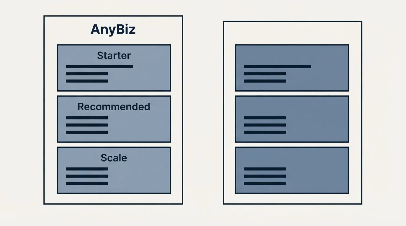 Pricing panels: Pricing Comparison (AnyBiz, Starter, Recommended, Scale)
