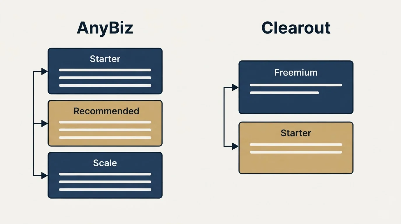 Pricing panels: Pricing Comparison (AnyBiz, Clearout, Starter, Freemium)