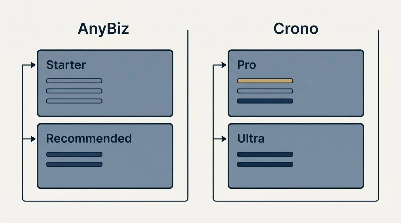 Pricing panels: Pricing Comparison (AnyBiz, Crono, Starter, Pro)
