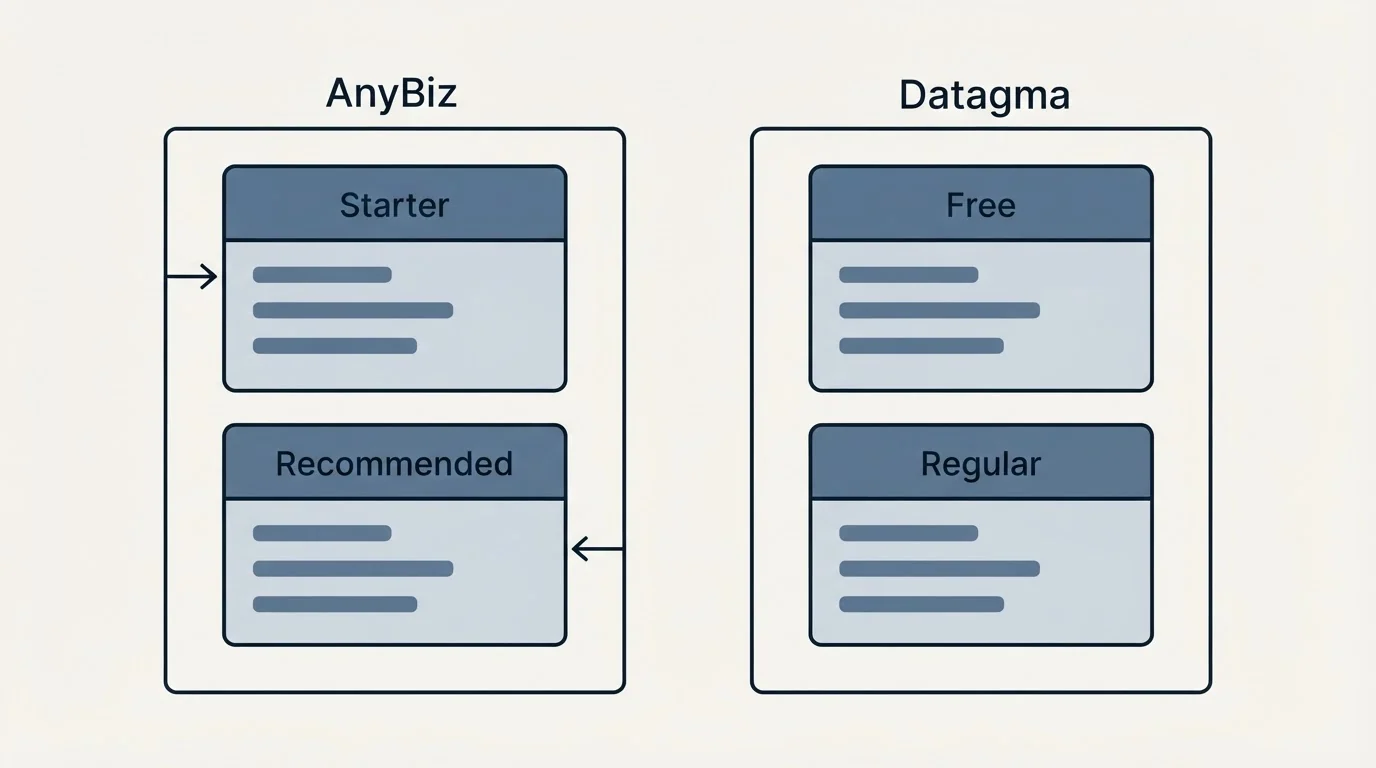 Pricing panels: Pricing Comparison (AnyBiz, Datagma, Starter, Free)