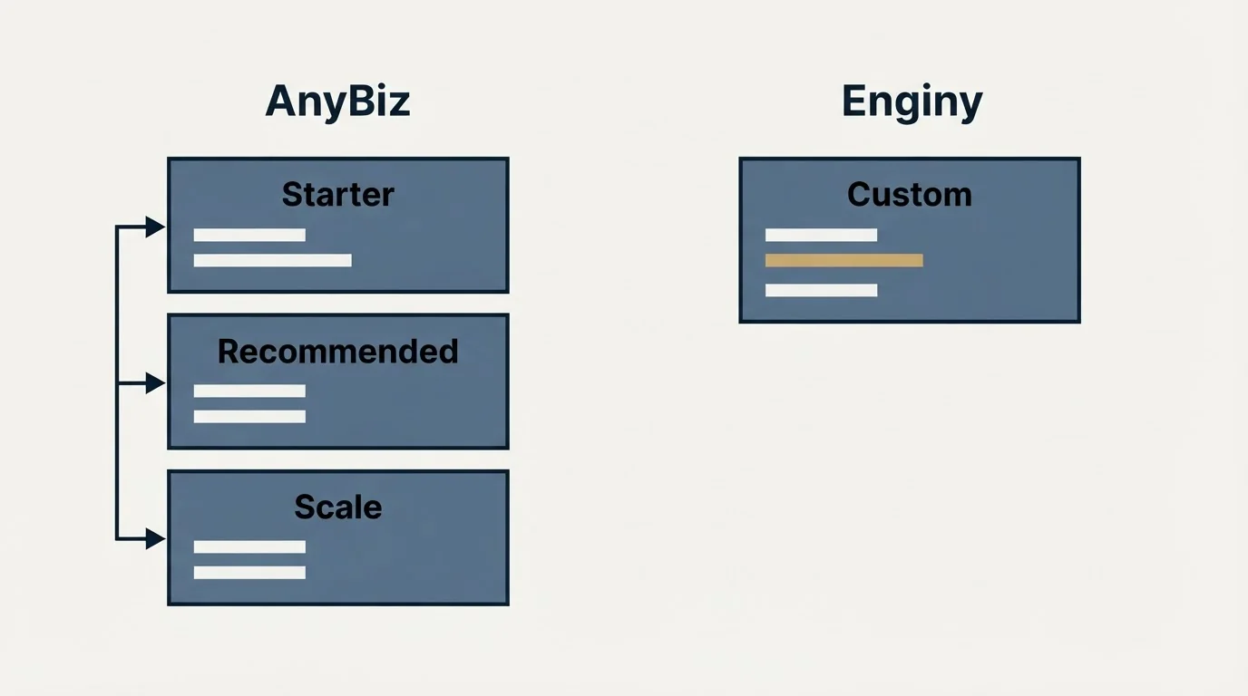 Pricing panels: Pricing Comparison (AnyBiz, Enginy, Starter, Custom)