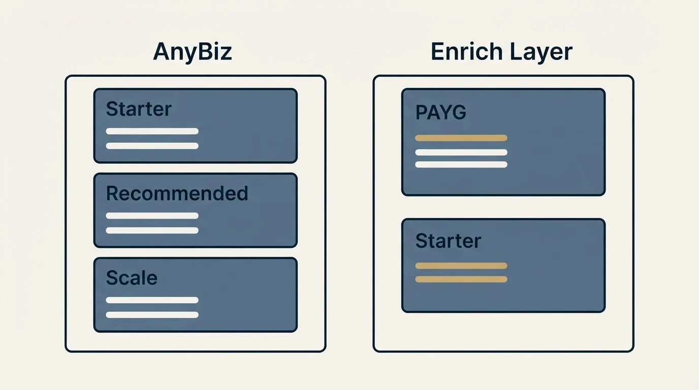 Pricing panels: Pricing Comparison (AnyBiz, Enrich Layer, Starter, PAYG)