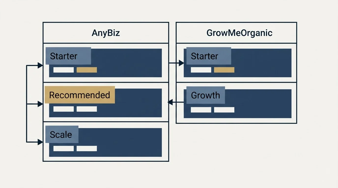Pricing table: Pricing Comparison (AnyBiz, GrowMeOrganic, Starter, Recommended)