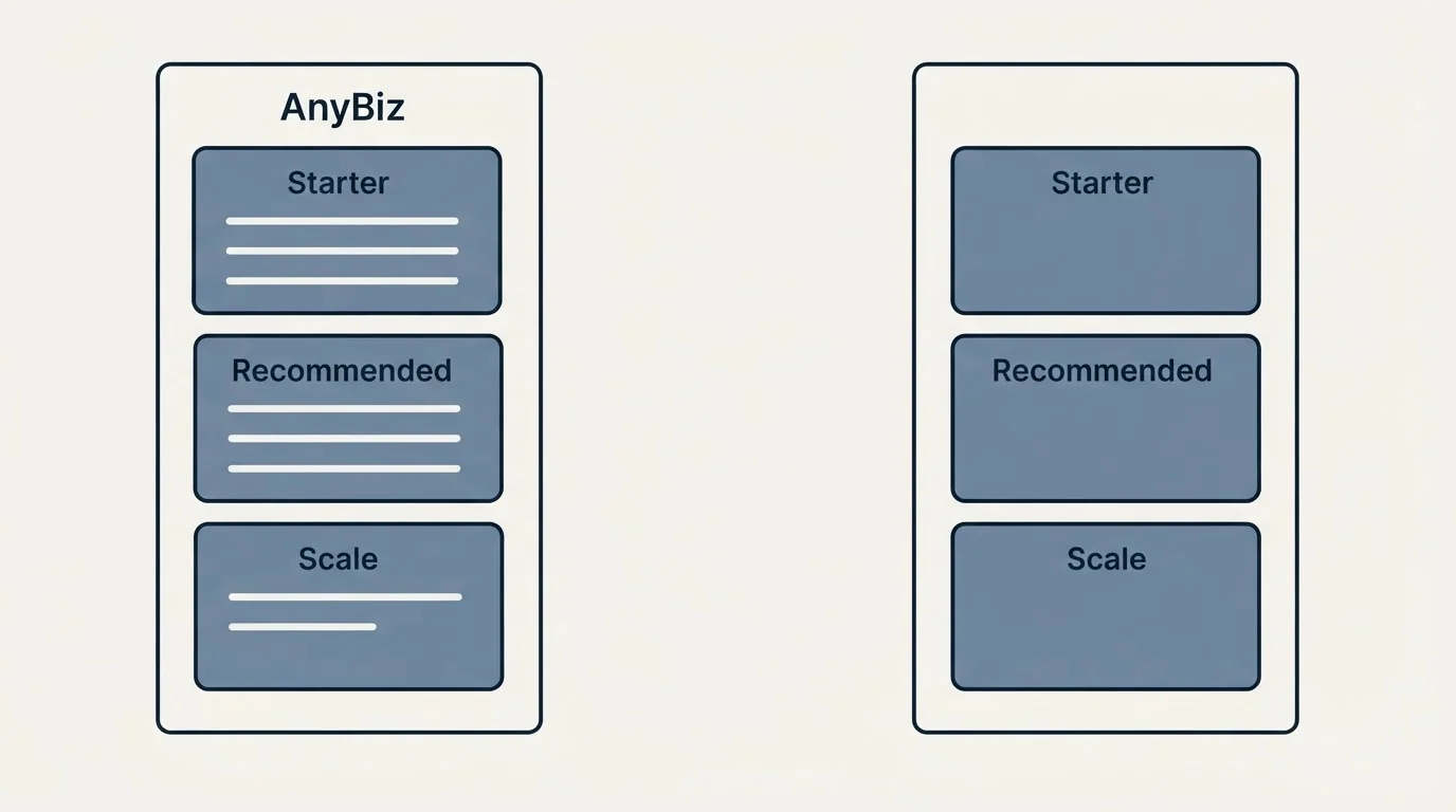 Pricing panels: Pricing Comparison (AnyBiz, Starter, Recommended, Scale)