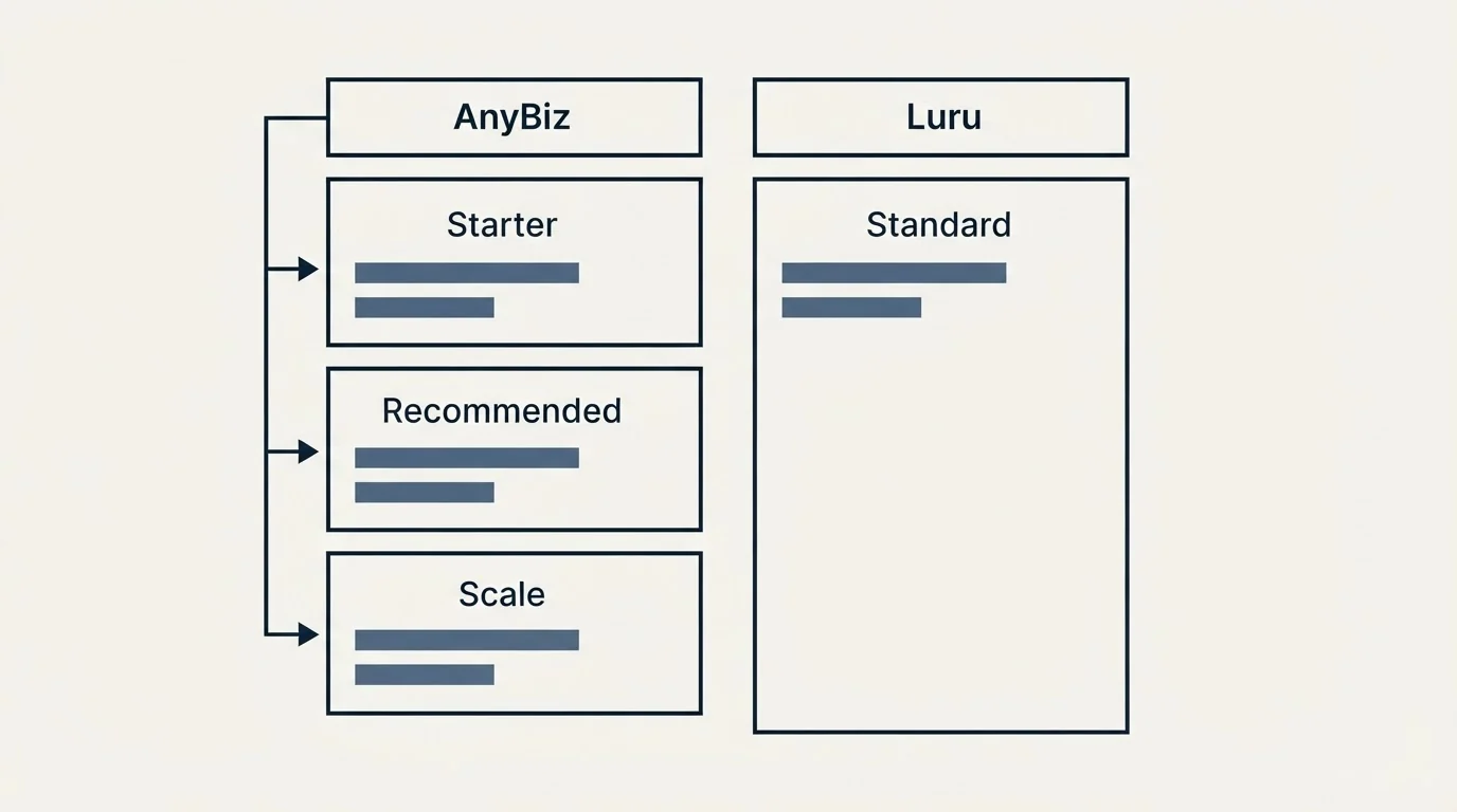 Pricing table: Pricing Comparison (AnyBiz, Luru, Starter, Standard)