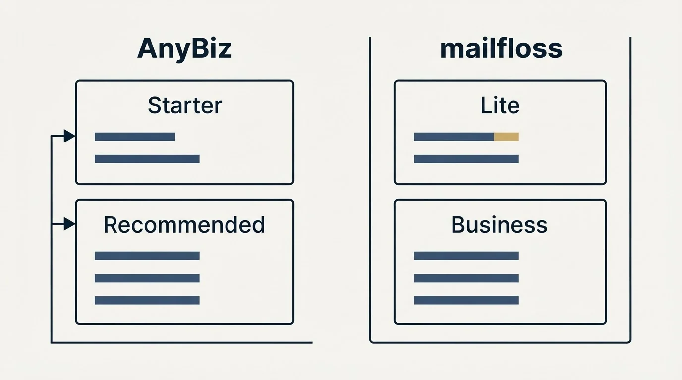 Pricing panels: Pricing Comparison (AnyBiz, mailfloss, Starter, Lite)