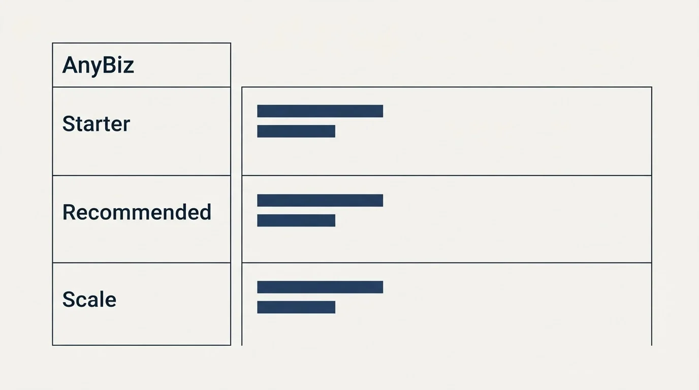 Pricing table: Pricing Comparison (AnyBiz, Starter, Recommended, Scale)