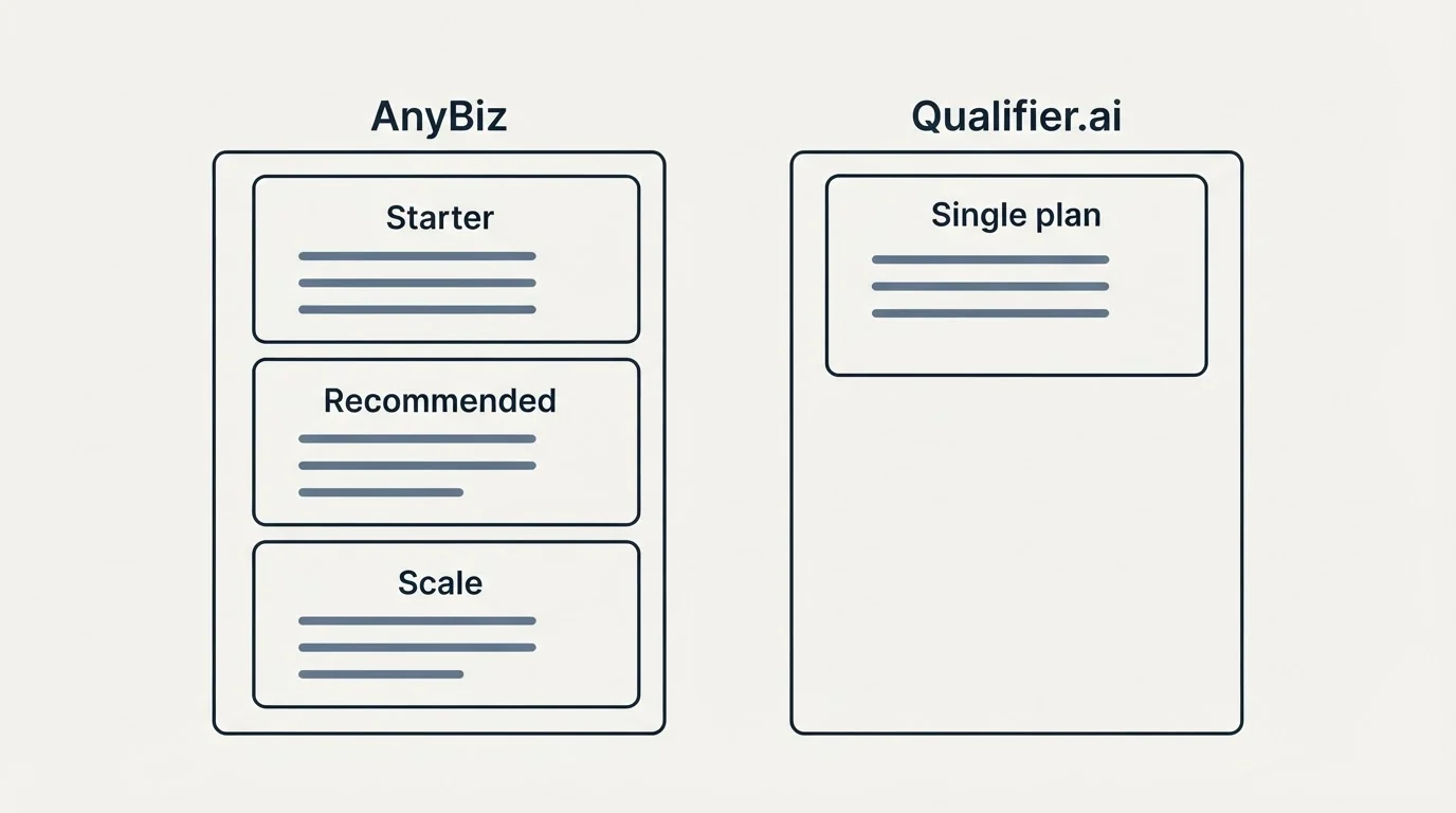 Pricing panels: Pricing Comparison (AnyBiz, Qualifier.ai, Starter, Single plan)