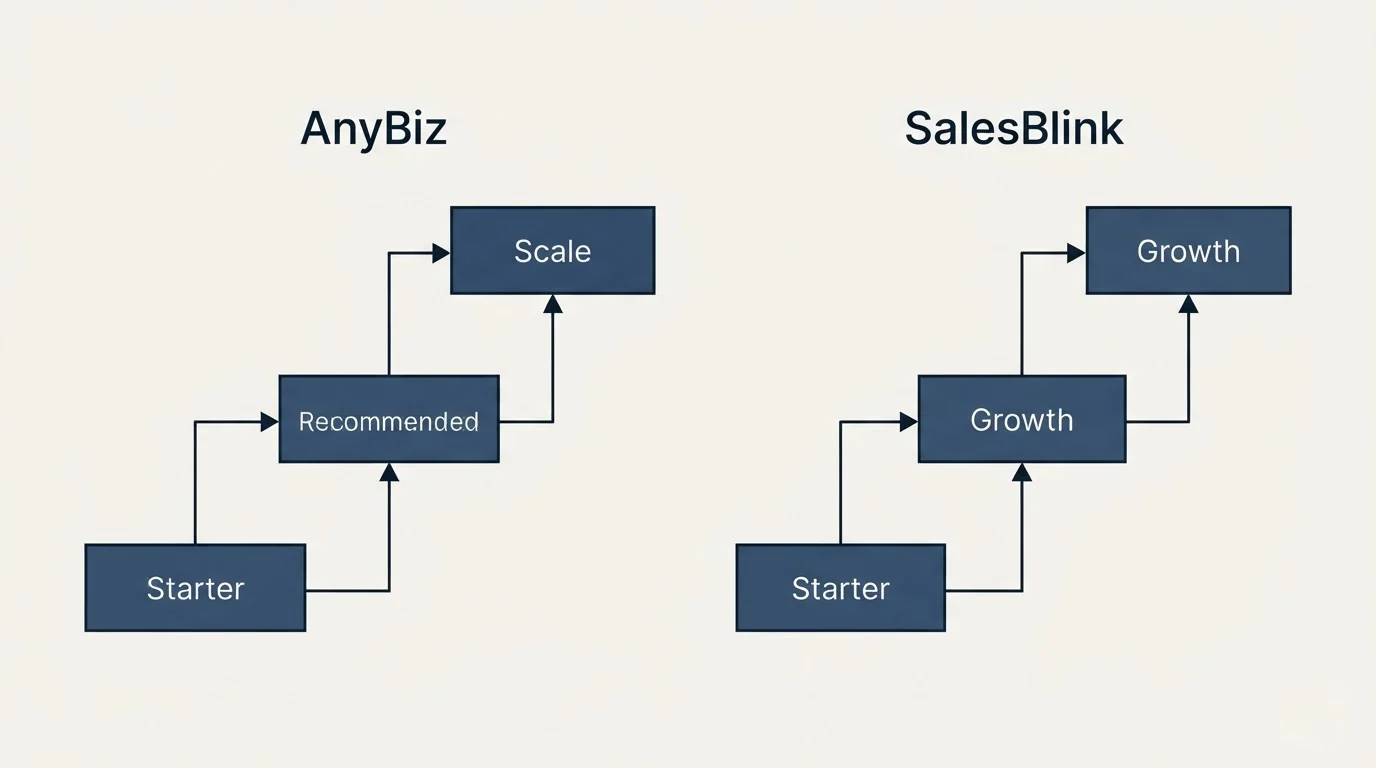 Pricing ladder: Pricing Comparison (AnyBiz, SalesBlink, Starter, Recommended)