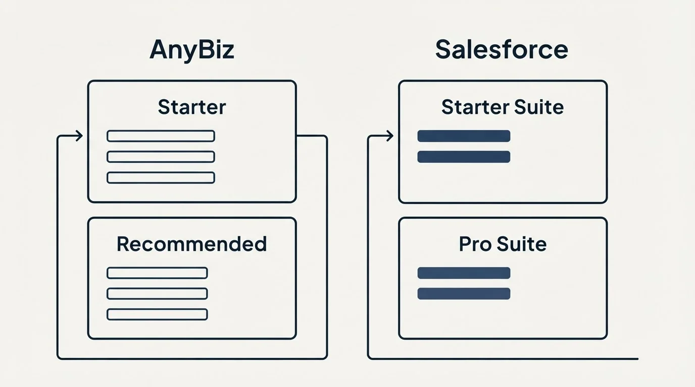 Pricing panels: Pricing Comparison (AnyBiz, Salesforce, Starter, Starter Suite)