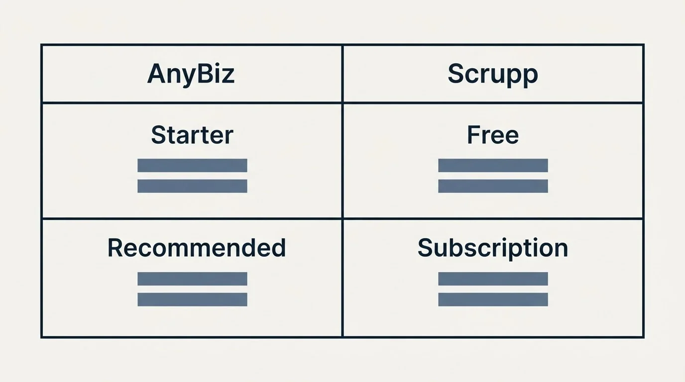 Pricing table: Pricing Comparison (AnyBiz, Scrupp, Starter, Free)
