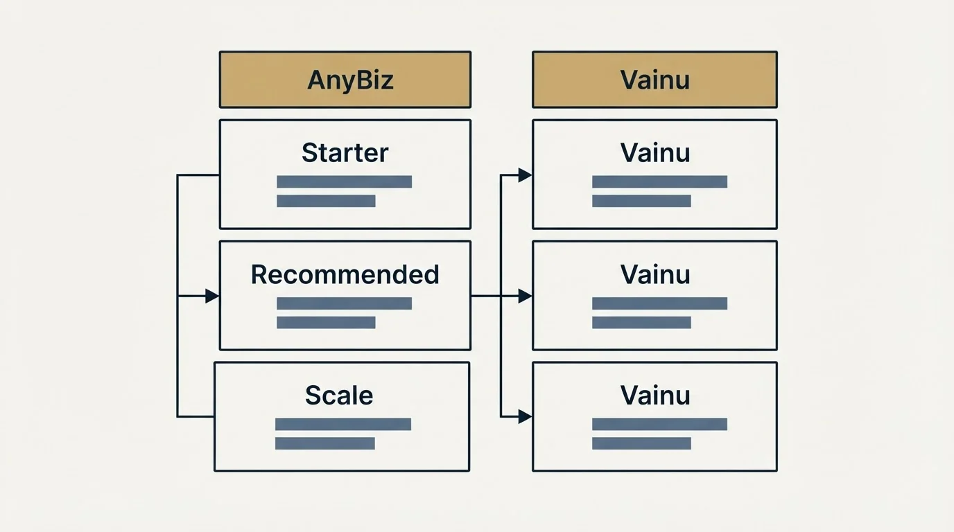 Pricing table: Pricing Comparison (AnyBiz, Vainu, Starter, Recommended)