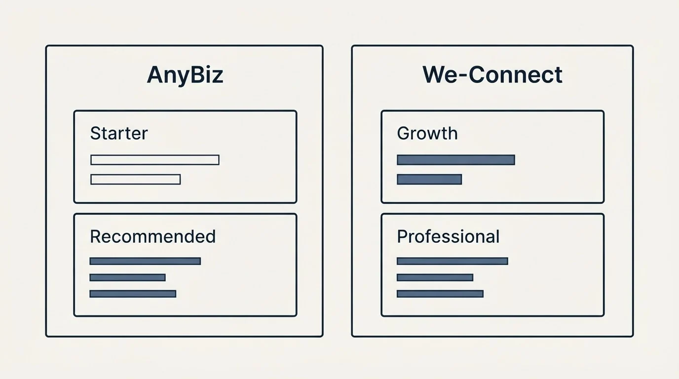 Pricing panels: Pricing Comparison (AnyBiz, We-Connect, Starter, Growth)