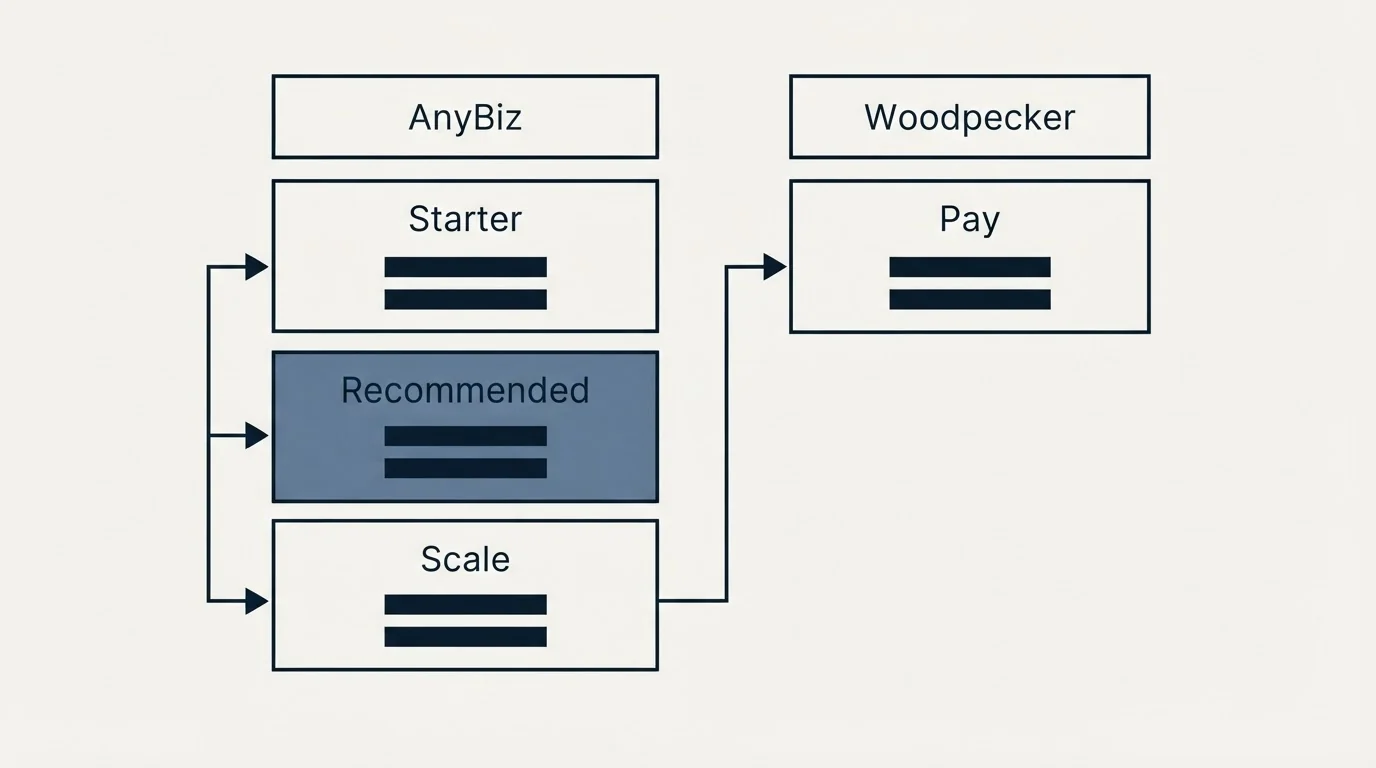 Pricing table: Pricing Comparison (AnyBiz, Woodpecker, Starter, Pay)