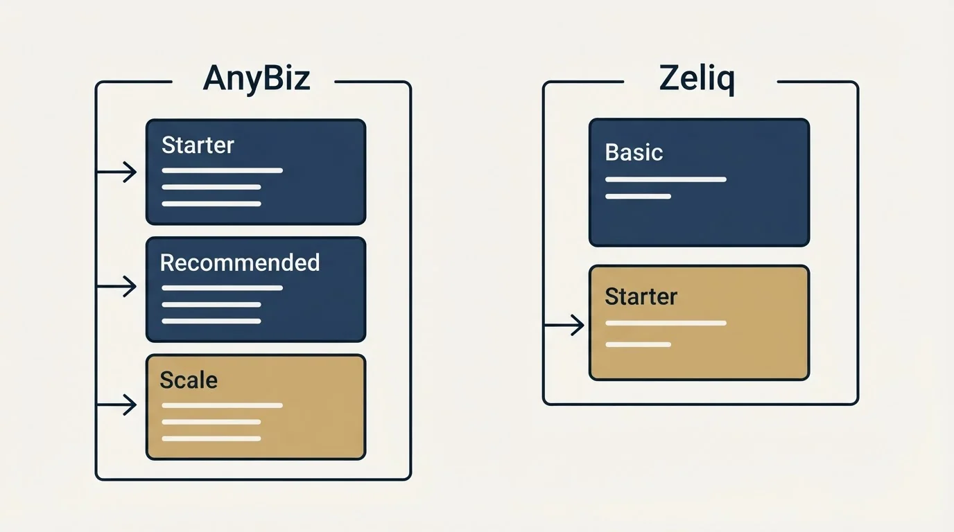 Pricing panels: Pricing Comparison (AnyBiz, Zeliq, Starter, Basic)