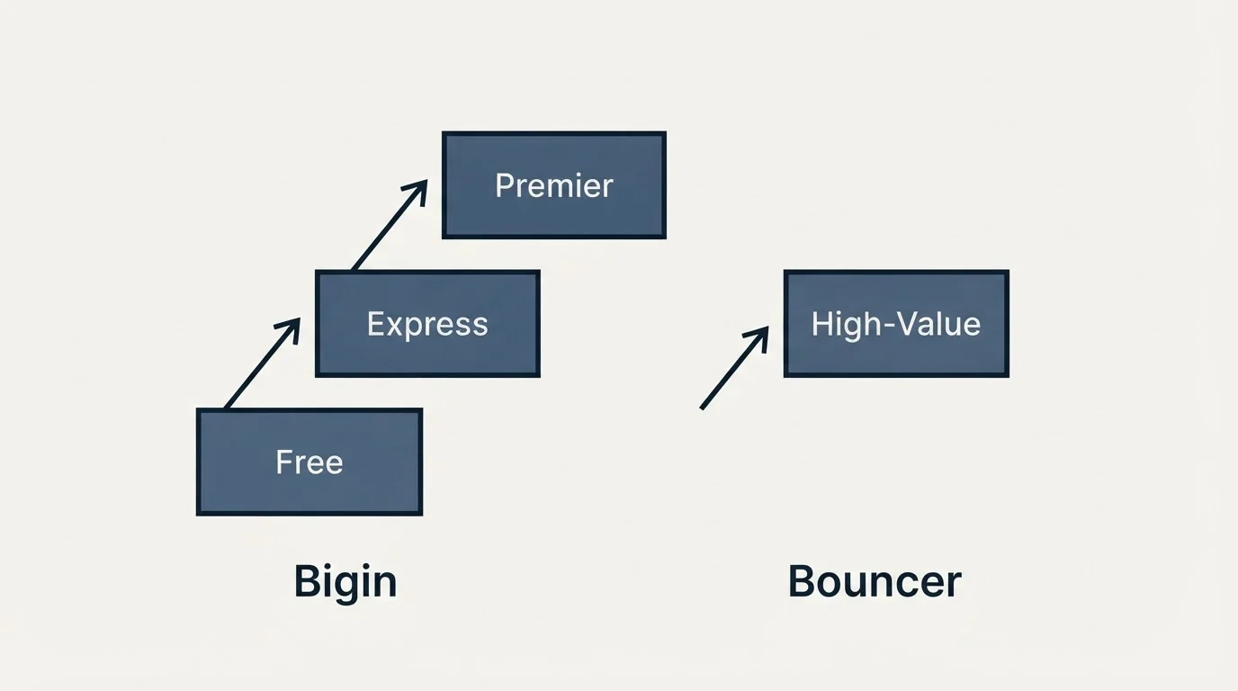 Pricing ladder: Pricing Comparison (Bigin, Bouncer, Free, High-Value)