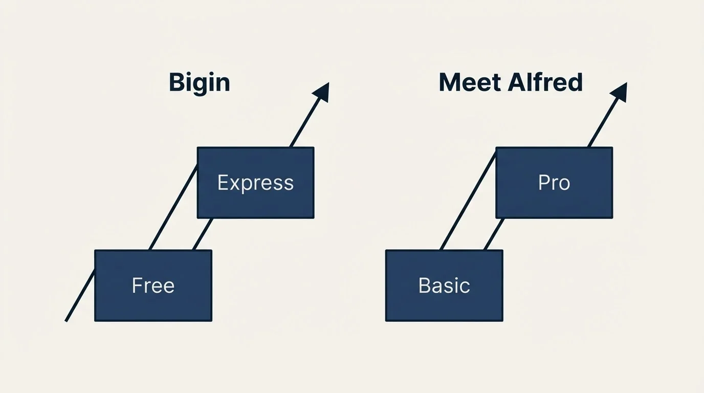 Pricing ladder: Pricing Comparison (Bigin, Meet Alfred, Free, Basic)
