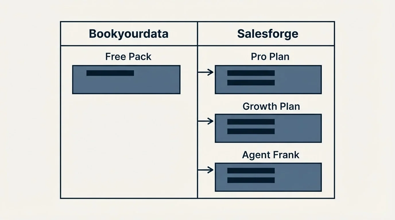 Pricing table: Pricing Comparison (Bookyourdata, Salesforge, Free Pack, Pro Plan)