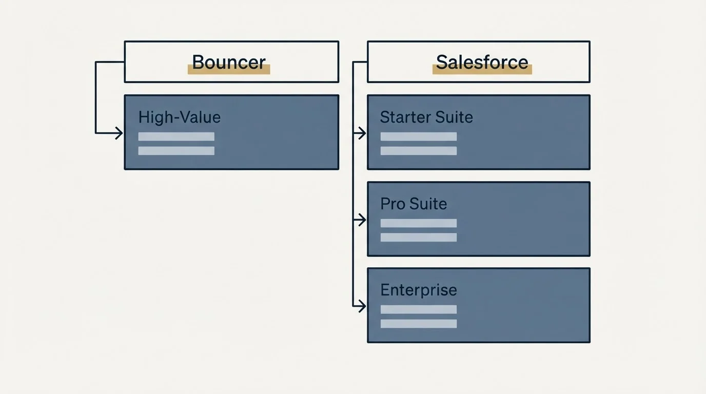 Pricing table: Pricing Comparison (Bouncer, Salesforce, High-Value, Starter Suite)