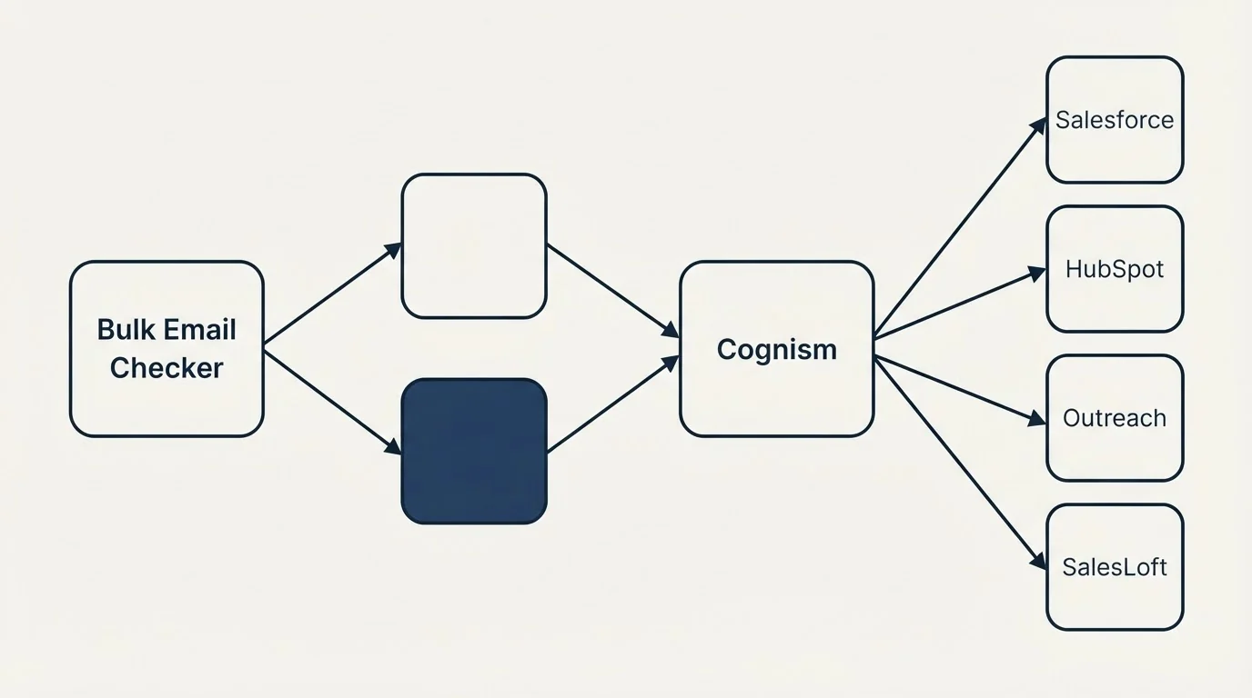 Integration schematic: Integration Ecosystem (Bulk Email Checker, Cognism, Salesforce, HubSpot)