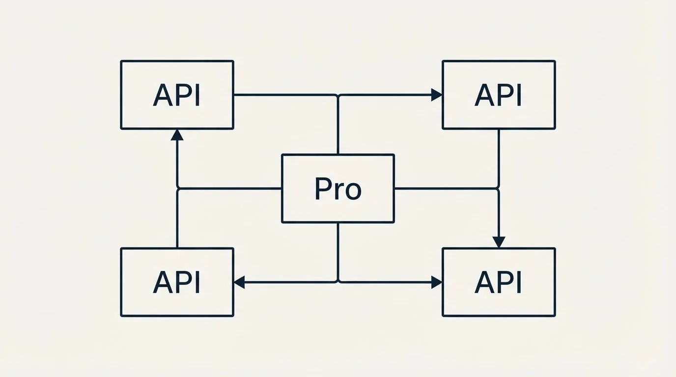 Schematic: The one pay-as-you-go rate the page does print (Pro, API)