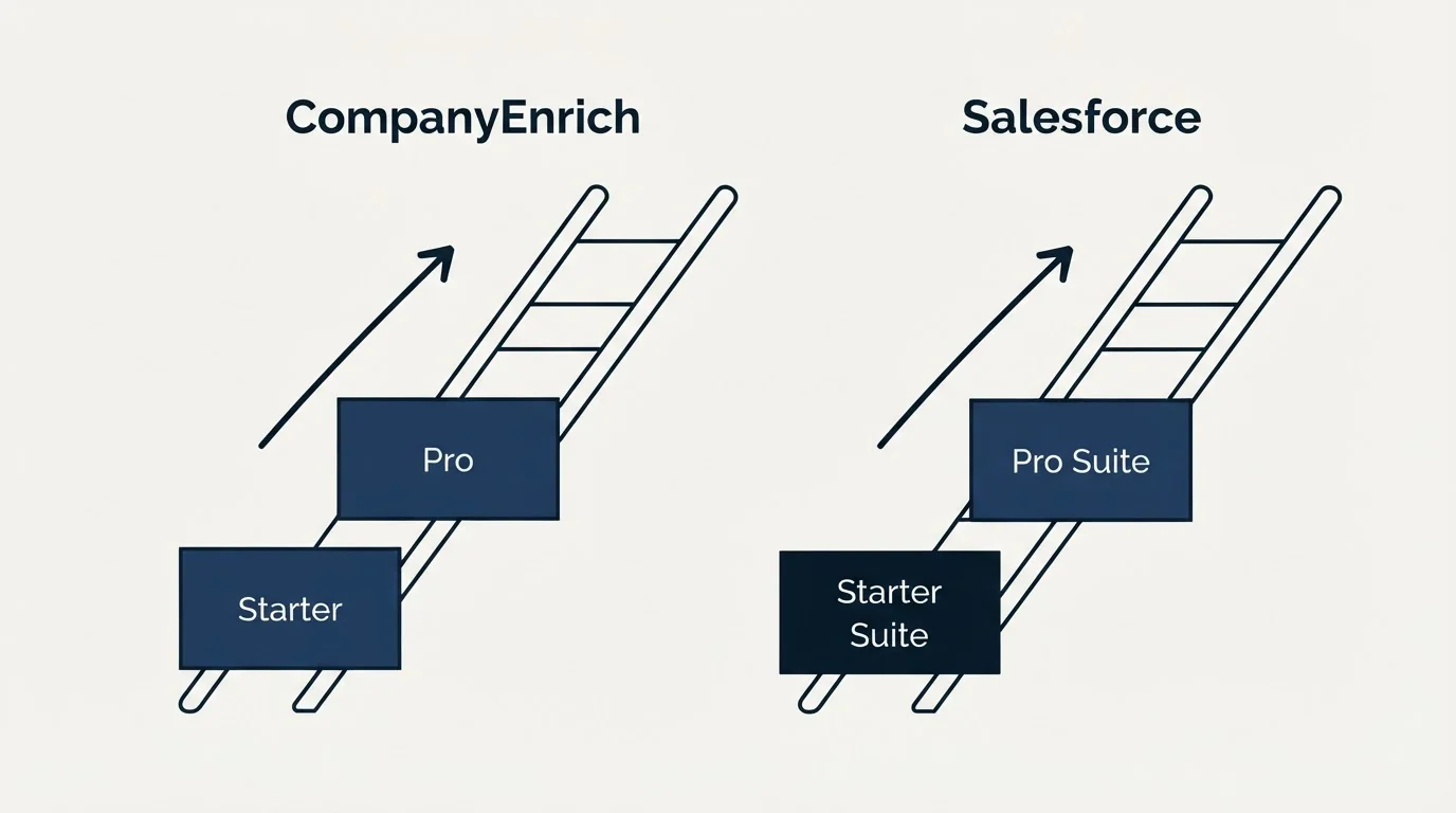Pricing ladder: Pricing Comparison (CompanyEnrich, Salesforce, Starter, Starter Suite)