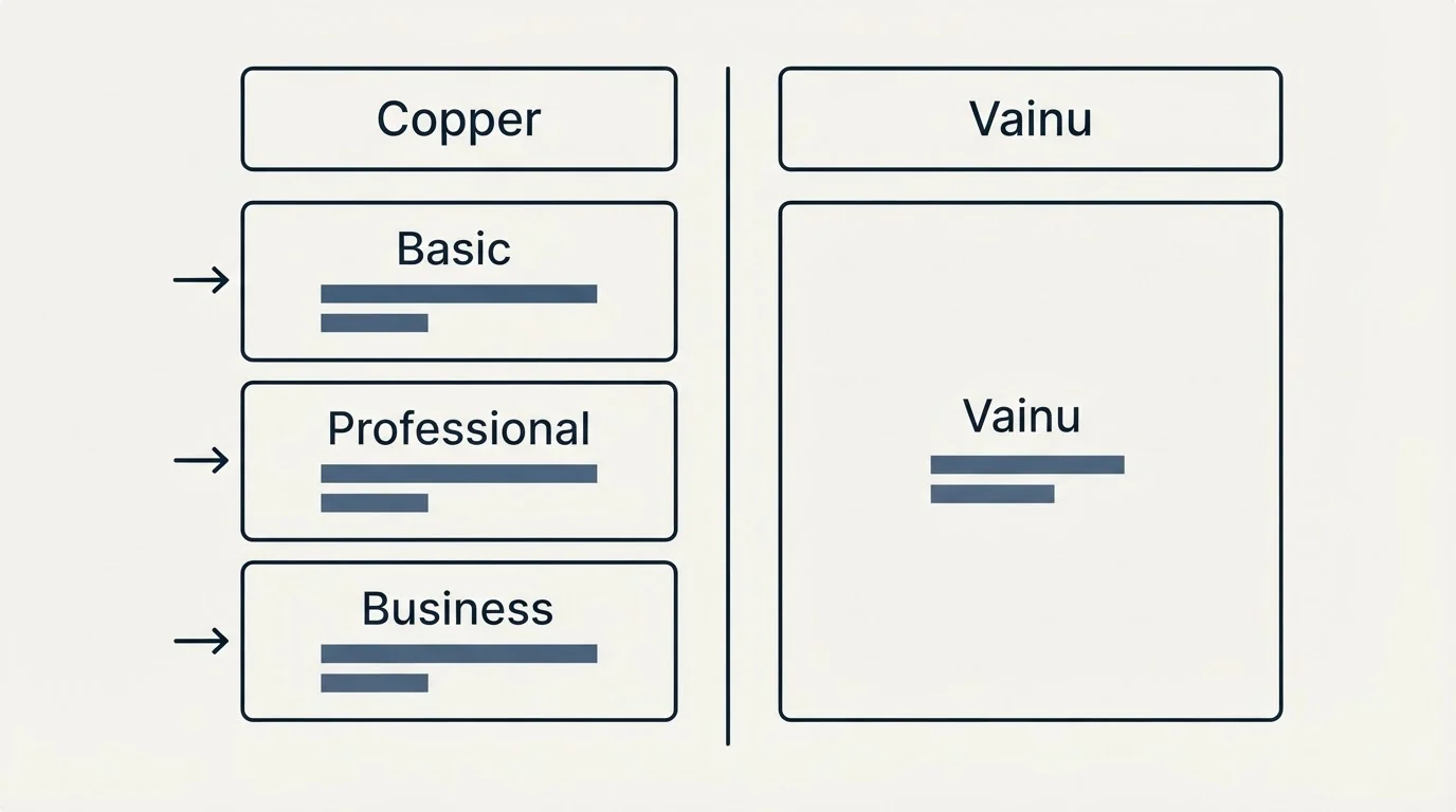 Pricing table: Pricing Comparison (Copper, Vainu, Basic, Professional)