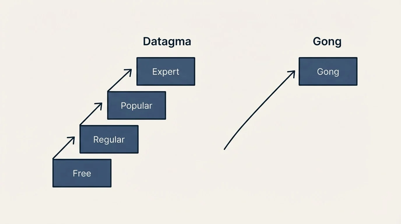 Pricing ladder: Pricing Comparison (Datagma, Gong, Free, Regular)