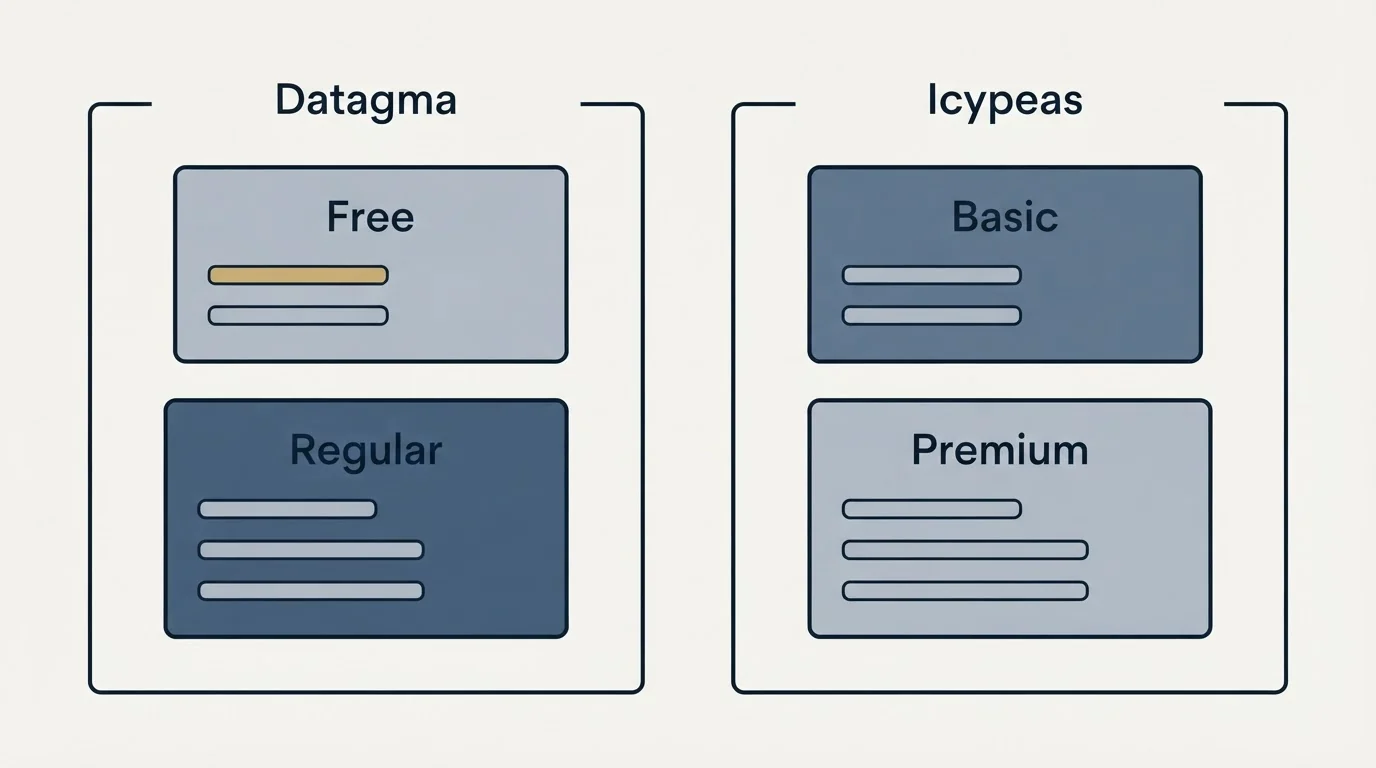 Pricing panels: Pricing Comparison (Datagma, Icypeas, Free, Basic)