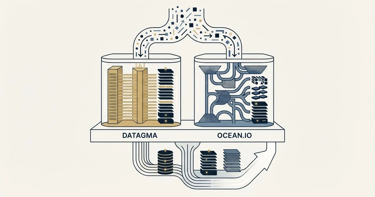 Editorial illustration for Datagma vs Ocean.io