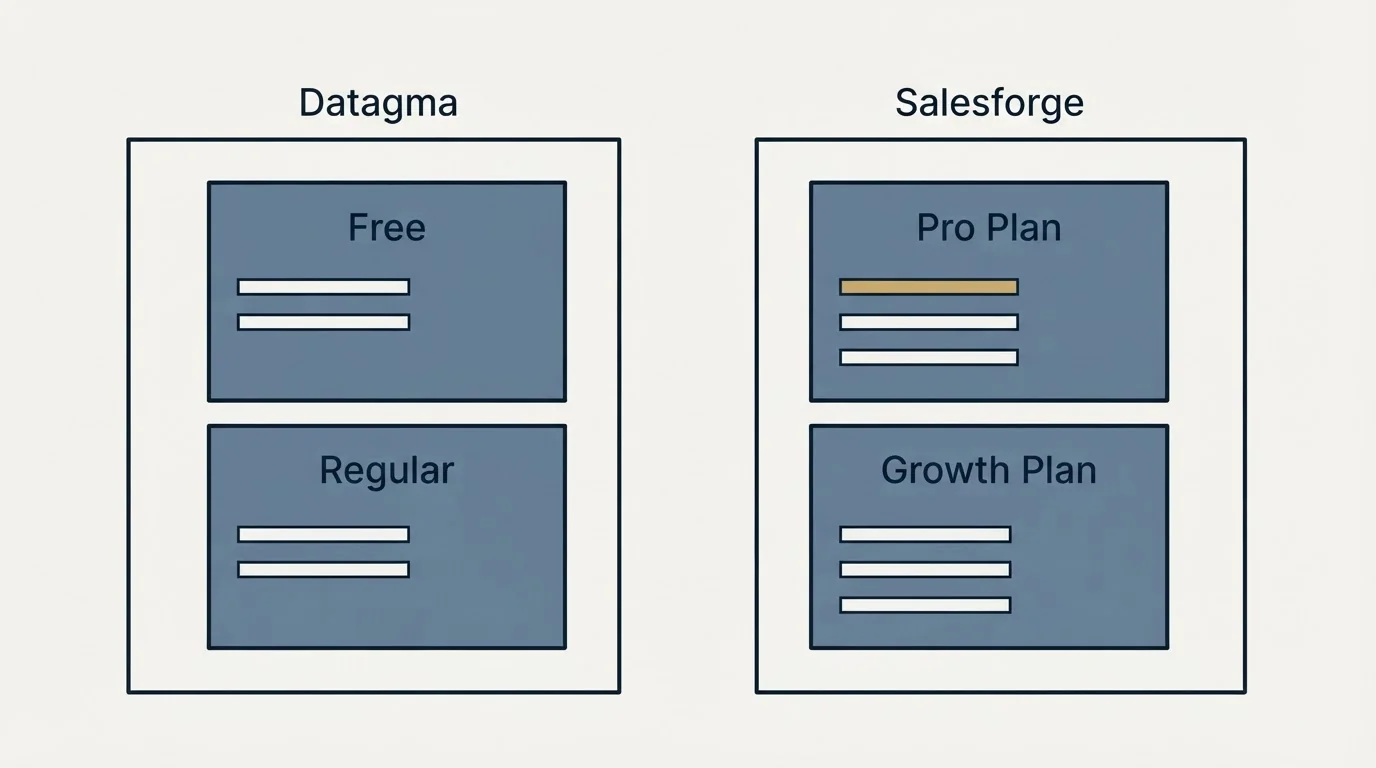 Pricing panels: Pricing Comparison (Datagma, Salesforge, Free, Pro Plan)
