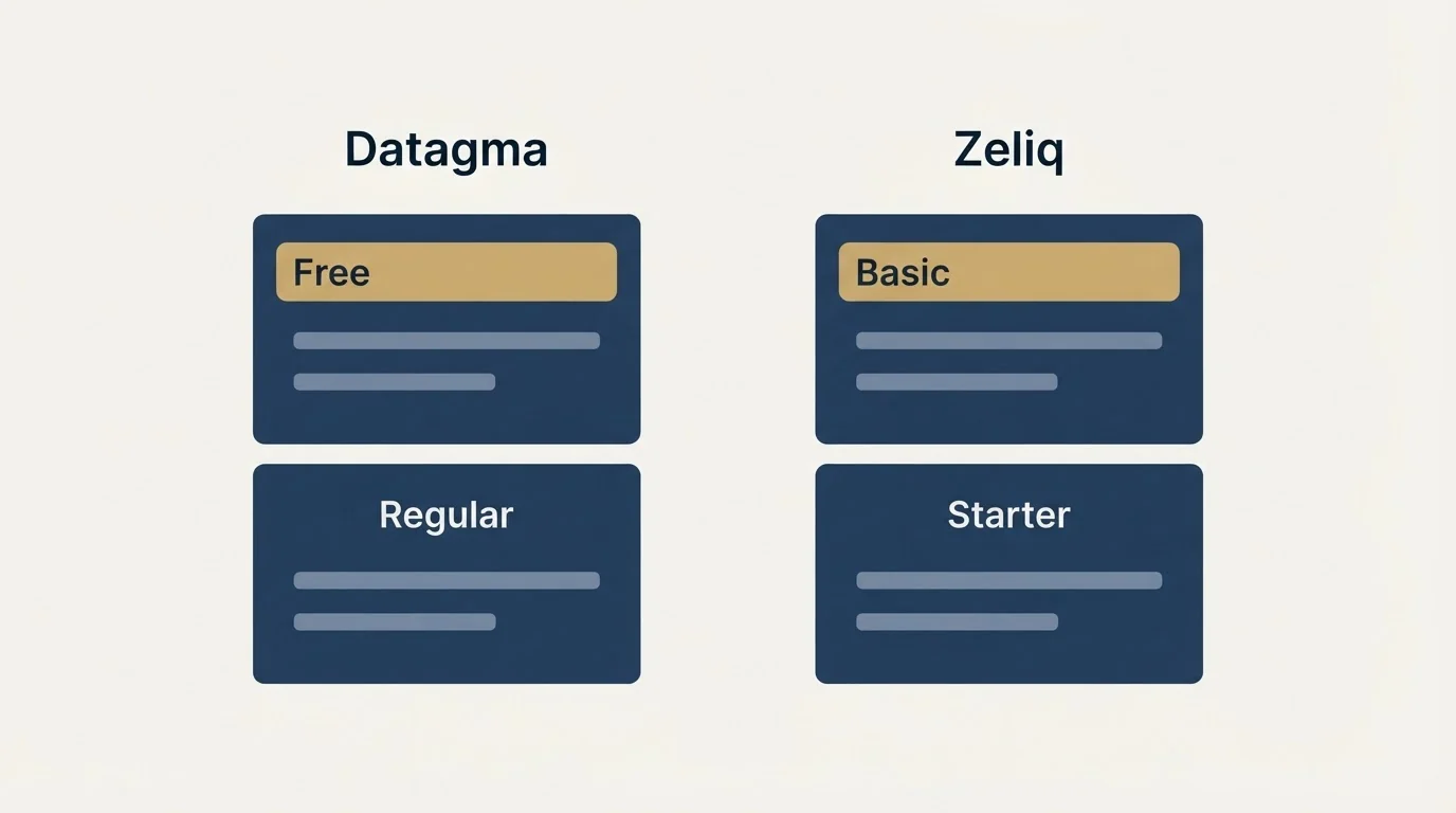 Pricing panels: Pricing Comparison (Datagma, Zeliq, Free, Basic)