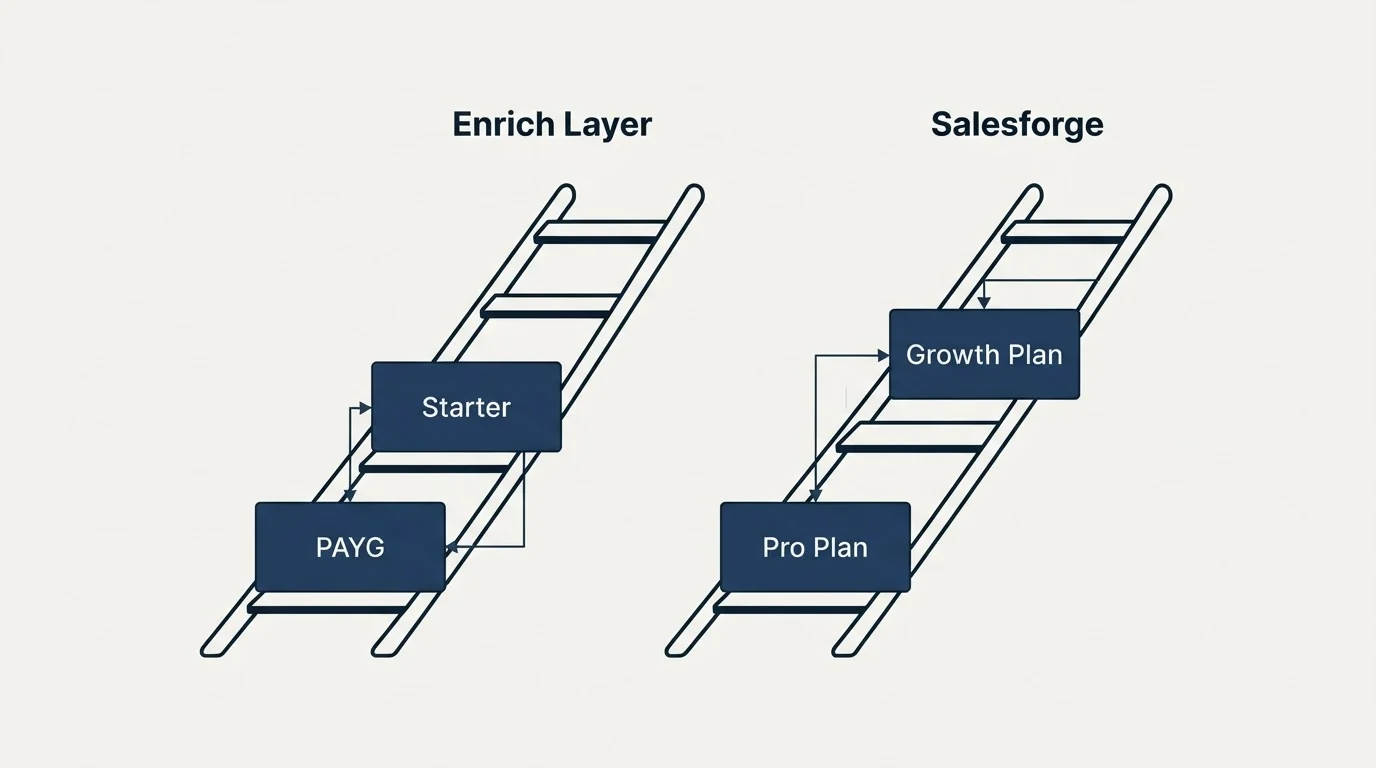 Pricing ladder: Pricing Comparison (Enrich Layer, Salesforge, PAYG, Pro Plan)