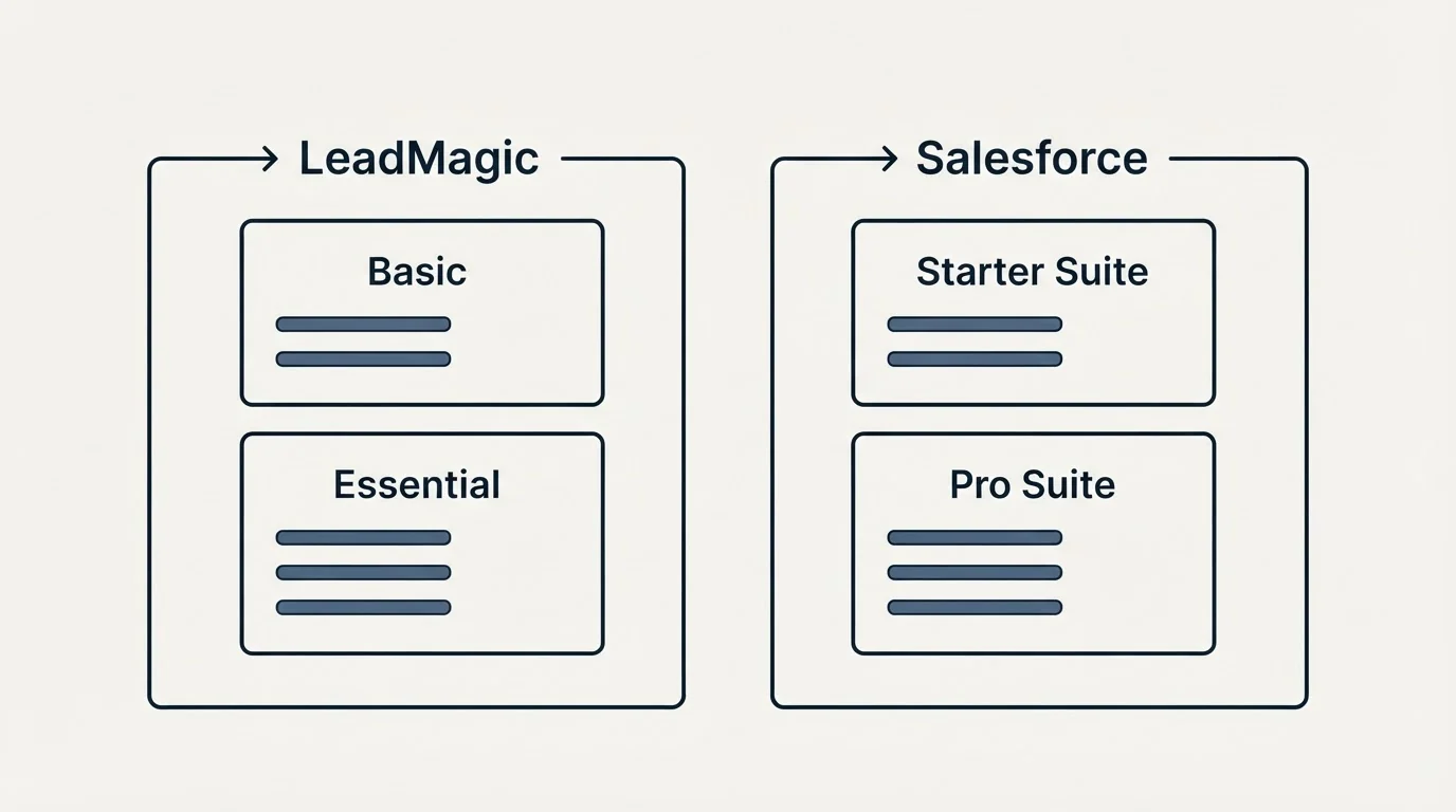 Pricing panels: Pricing Comparison (LeadMagic, Salesforce, Basic, Starter Suite)