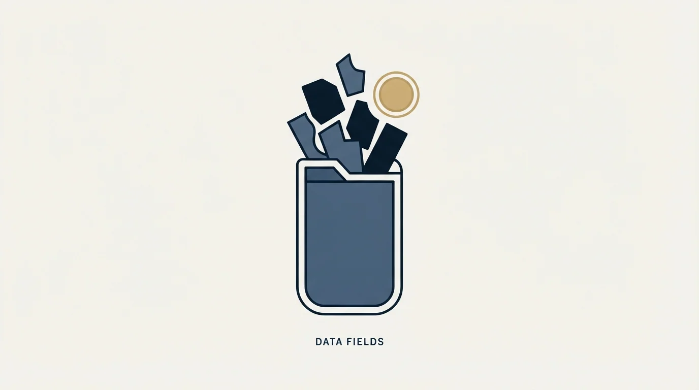Section illustration: What the Connections file contains