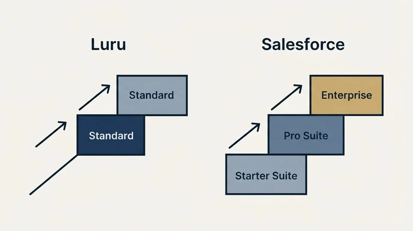Pricing ladder: Pricing Comparison (Luru, Salesforce, Standard, Starter Suite)