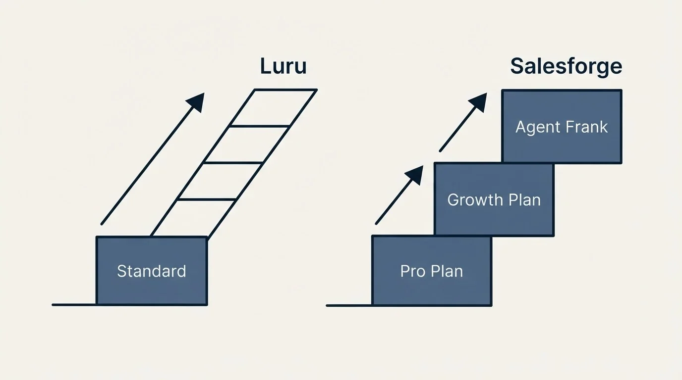 Pricing ladder: Pricing Comparison (Luru, Salesforge, Standard, Pro Plan)