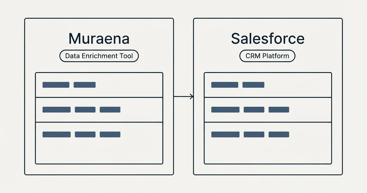 Side-by-side panels: Muraena vs Salesforce (Data Enrichment Tool, CRM Platform)