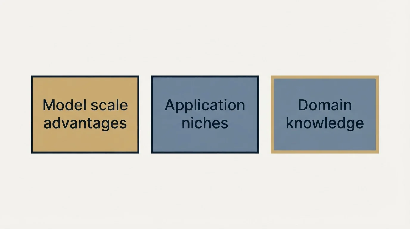 Schematic: The Broader Pattern (Model scale advantages, Application niches, Domain knowledge)