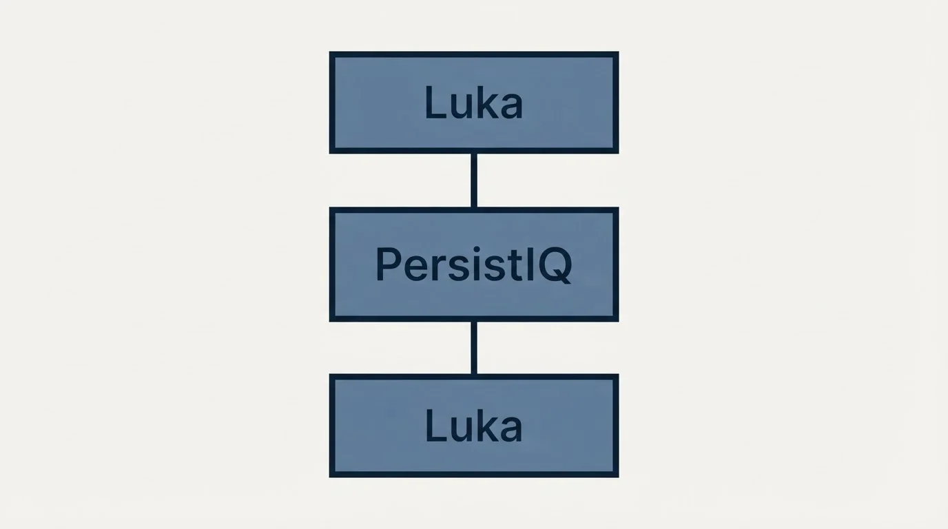 Schematic: What Luka is and is not (PersistIQ, Luka)
