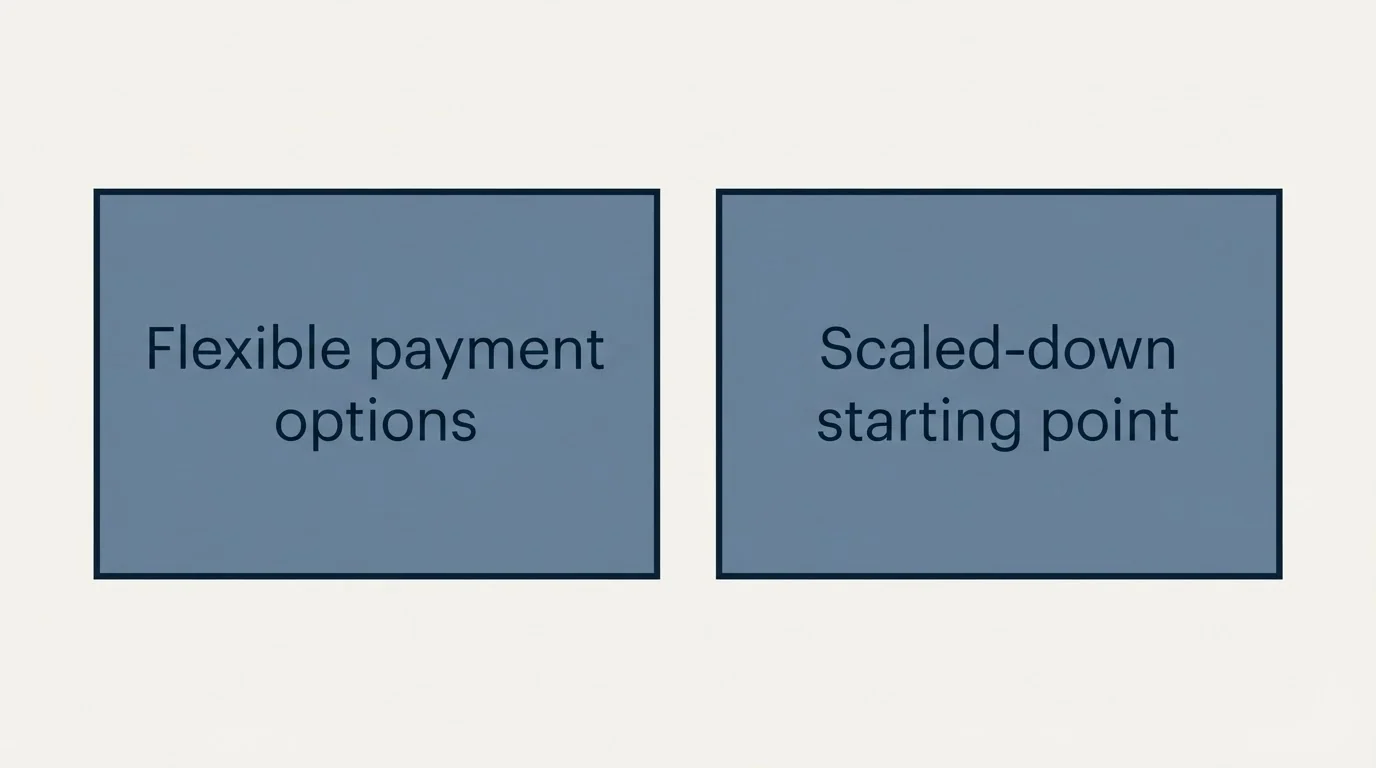 Schematic: Budget Constraint Response Templates (Flexible payment options, Scaled-down starting point)