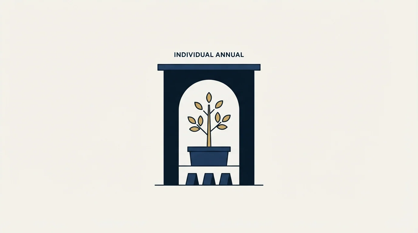 Section illustration: Individual plans, annual