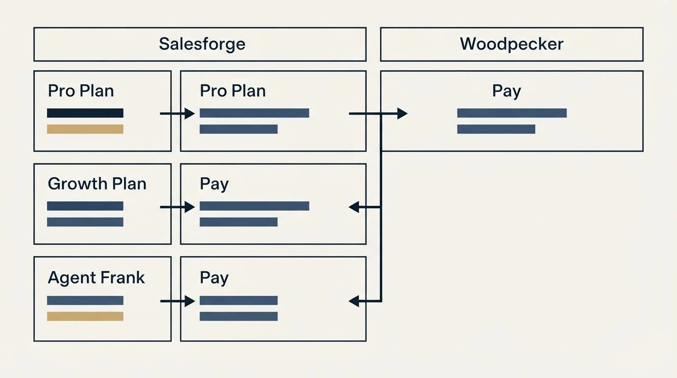 Pricing table: Pricing Comparison (Salesforge, Woodpecker, Pro Plan, Pay)