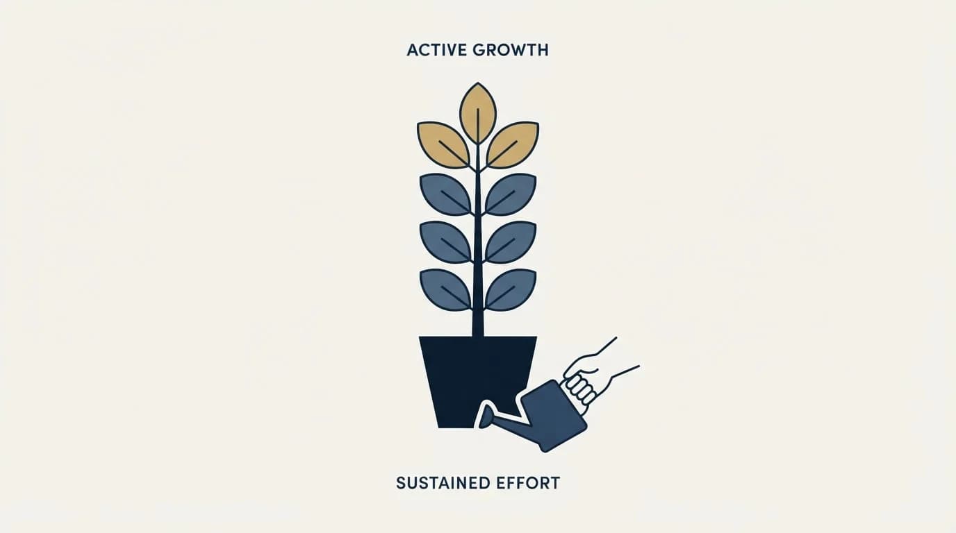 Section illustration: What good looks like at days