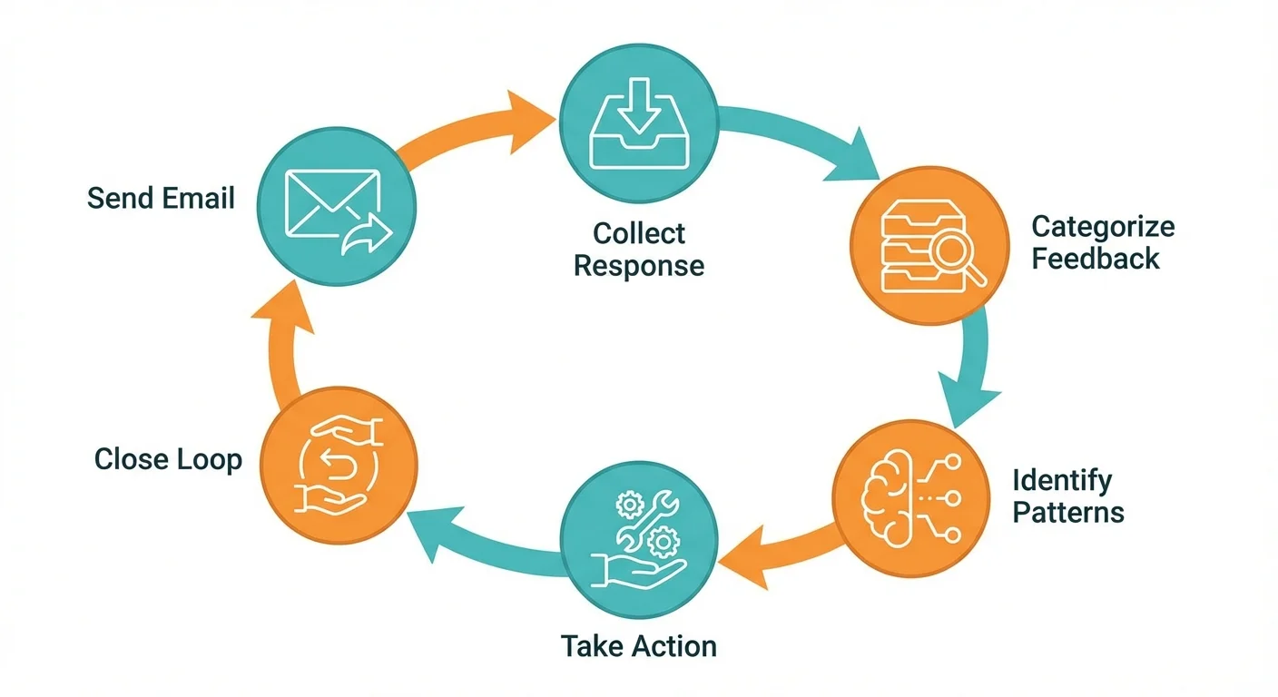 Feedback loop process: Send Email, Collect Response, Categorize, Identify Patterns, Take Action, Close Loop